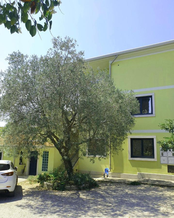 Apartments Adri, Parking In The Yard Rovinj Luaran gambar