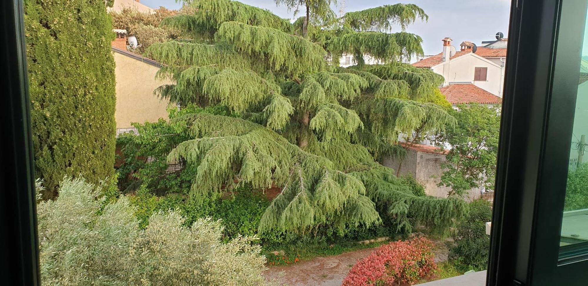 Apartments Adri, Parking In The Yard Rovinj Luaran gambar